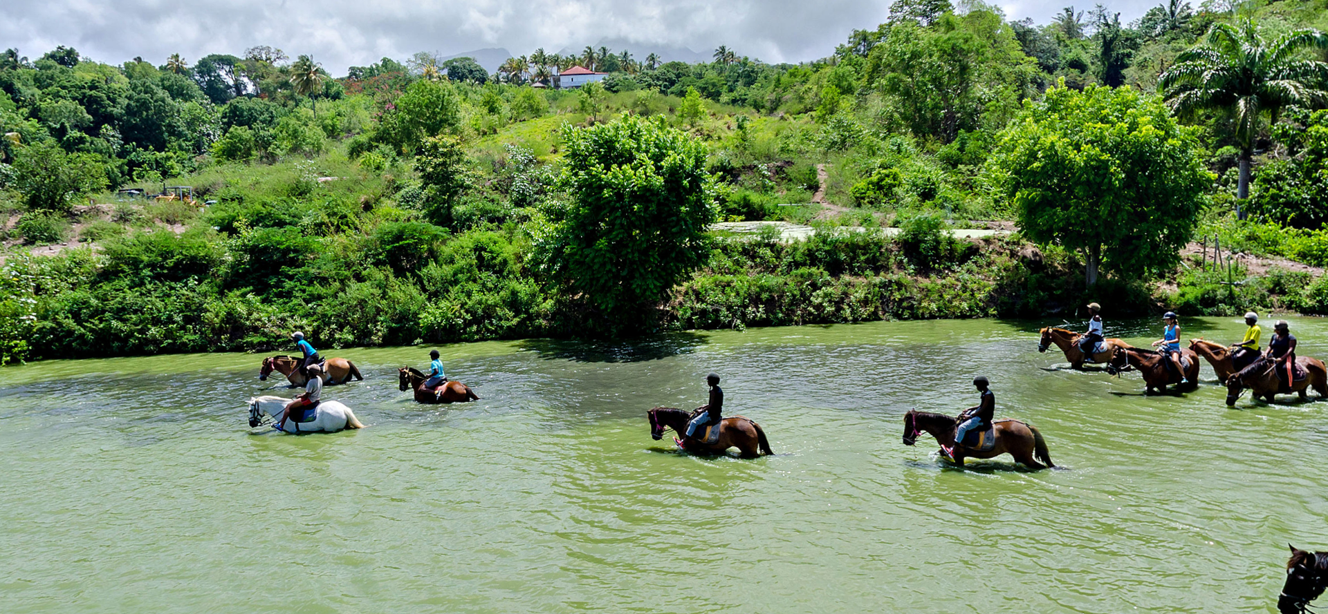 Bain de Chevaux